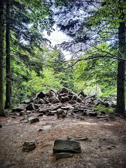 Łysica