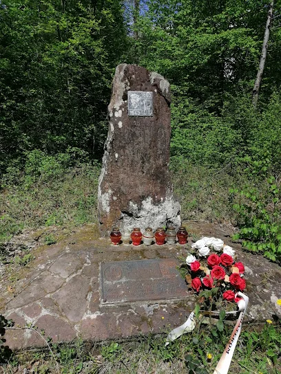 Polana Langiewicza